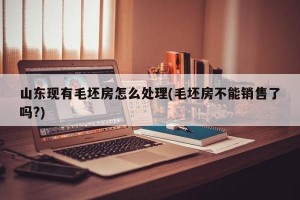 山東現(xiàn)有毛坯房怎么處理(毛坯房不能銷售了嗎?)