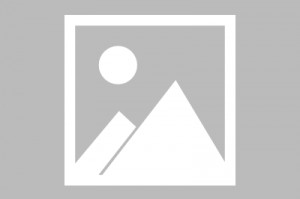 【出京進(jìn)京最新規(guī)定,出京進(jìn)京最新規(guī)定要求】