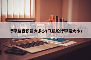 行李艙容積最大多少(飛機(jī)艙行李箱大小)