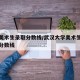 武大美術(shù)生錄取分?jǐn)?shù)線/武漢大學(xué)美術(shù)生高考錄取分?jǐn)?shù)線