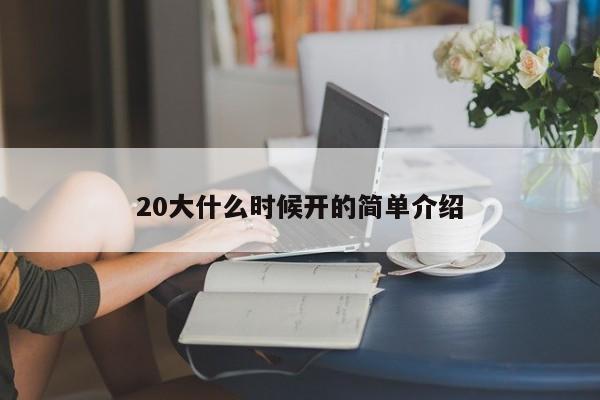 20大什么時候開的簡單介紹