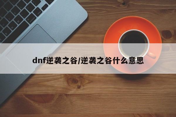 dnf逆襲之谷/逆襲之谷什么意思